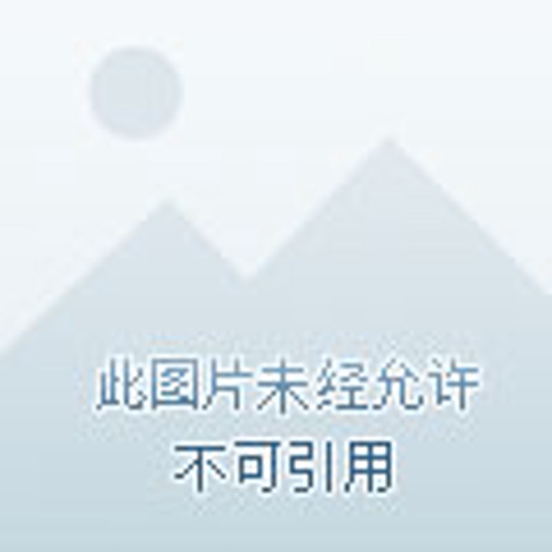 如何选择适合自己的网络营销公司?这六个关键点你必须了解!
